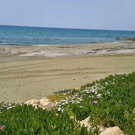 וילה Luksuzna Vila Ob Plazi Z Bazenom Paphos